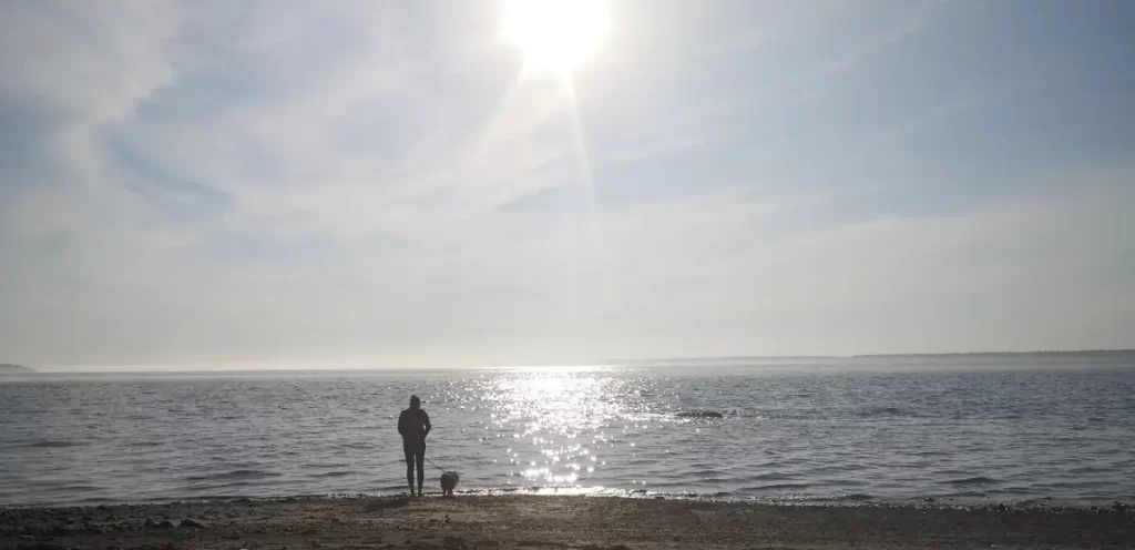 Pause vie avec un chien en bord de mer.